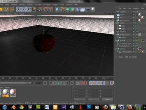 realistic cool cherry 3D Model