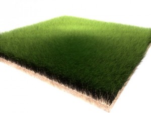 dynamic grass 3D Model
