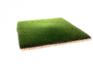 dynamic grass 3D Model