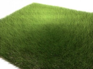 dynamic grass 3D Model