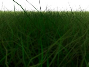 dynamic grass 3D Model