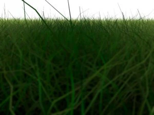 dynamic grass 3D Model