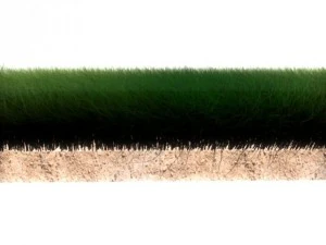 dynamic grass 3D Model