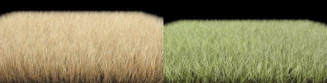 dynamic grass pack 3D Model .c4d .max .obj .3ds .fbx .stl .blend 