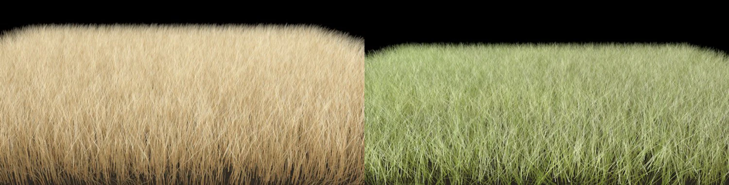dynamic grass pack 3D Model .c4d .max .obj .3ds .fbx .stl .blend 