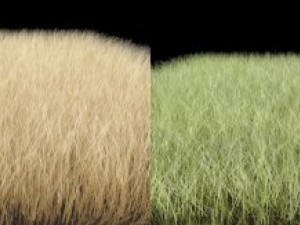 dynamic grass pack Modelo 3D