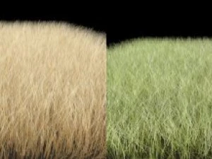 dynamische Graspackung 3D Modell