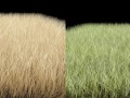dynamic grass pack Modelo 3D