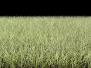 dynamic grass pack 3D Model