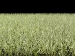 dynamic grass pack 3D Model