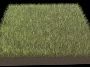 dynamic grass pack 3D Model