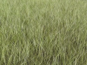 dynamic grass pack 3D Model