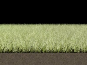 dynamic grass pack 3D Model