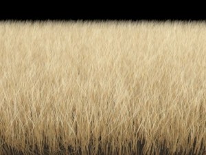 dynamic grass pack 3D Model