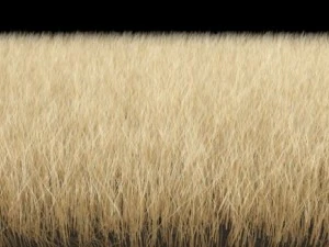 dynamic grass pack 3D Model