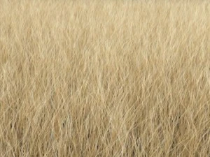 dynamic grass pack 3D Model