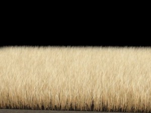 dynamic grass pack 3D Model