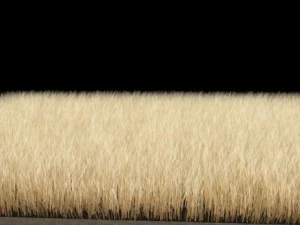 dynamic grass pack 3D Model