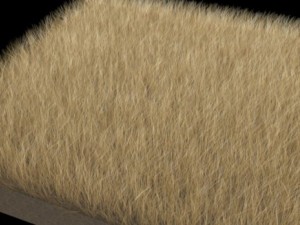 dynamic grass pack 3D Model
