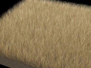 dynamic grass pack 3D Model