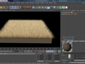 dynamic grass pack 3D Model
