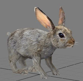 rabbit 3D Model .c4d .max .obj .3ds .fbx .stl .blend 