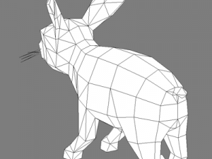 rabbit 3D Model