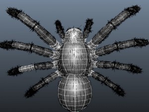 spider 3D Model