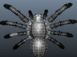 spider 3D Model