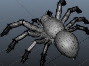 spider 3D Model