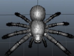 spider 3D Model