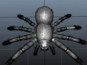 spider 3D Model