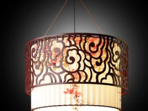 中国光 d 5 3D 模型