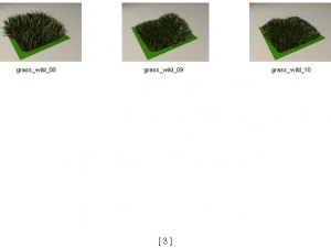 Gartensammlung 3D Modell