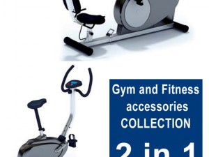 gymcoll1 3D Model