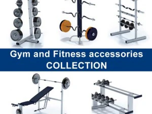 gymcoll2 3D Модель