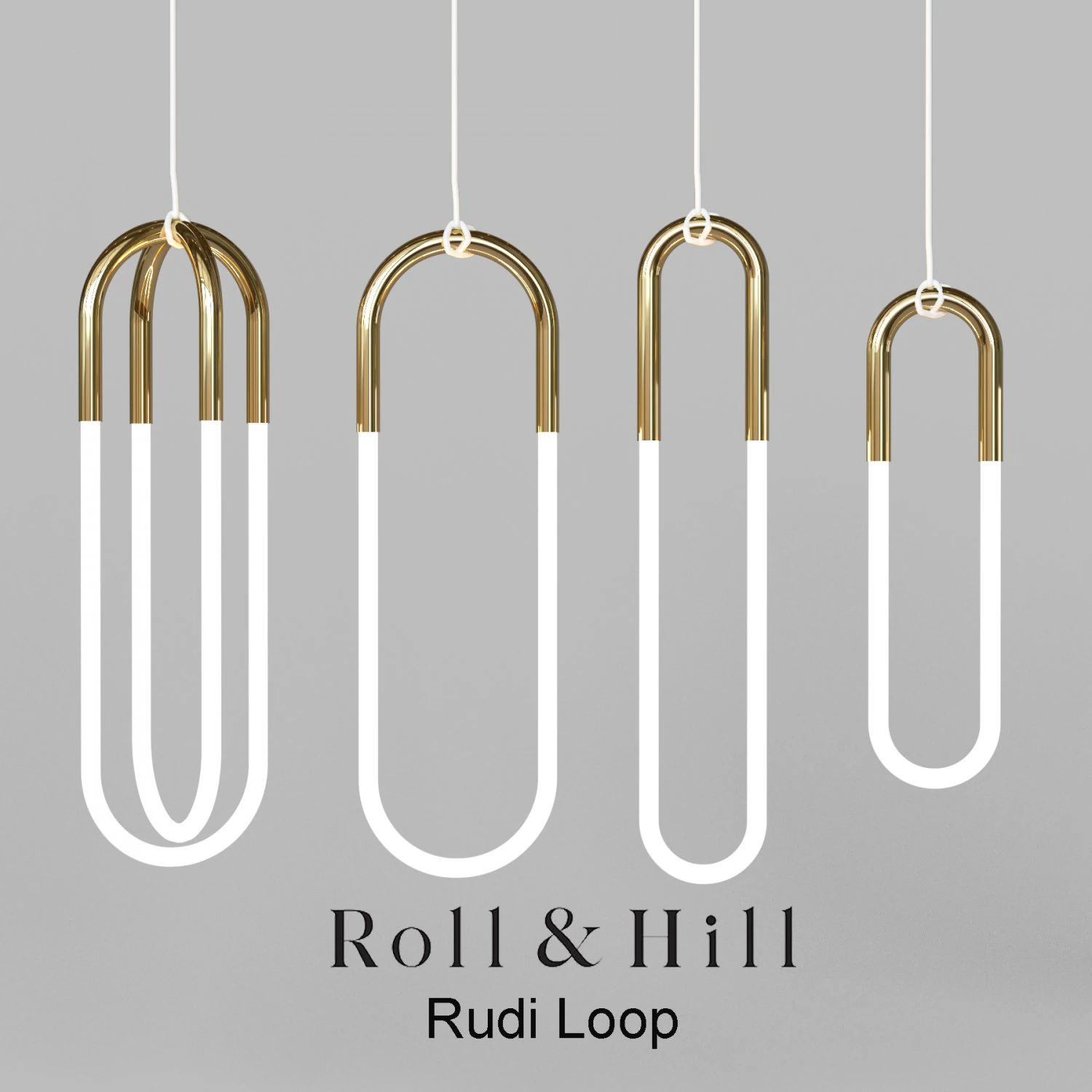 rudi loop 3D Model .c4d .max .obj .3ds .fbx .stl .blend 