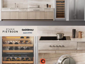 皮特&middot;布恩厨房残酷 3D 模型