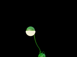 locus solus floor lamp 3D Model