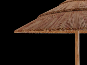 exotic ombrelloni 3D Model