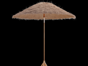 bamboo umbrella with banana leaf Model 3D