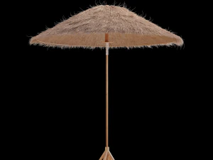 bamboo umbrella with banana leaf 3D Model