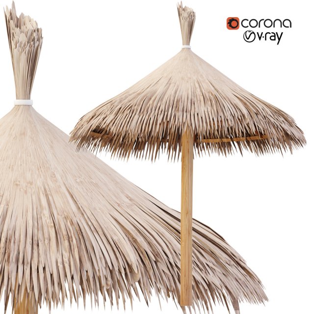 bamboo umbrella Modello 3D .c4d .max .obj .3ds .fbx .stl .blend 