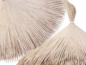 бамбуковый зонтик 3D Модель