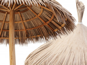 bamboo umbrella Modello 3D