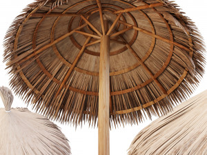 bamboo umbrella Modello 3D