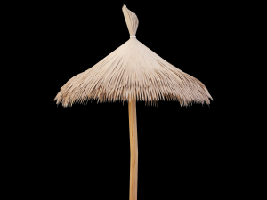 bamboo umbrella Modello 3D