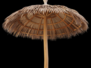 bamboo umbrella Modello 3D