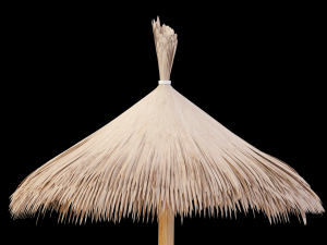 bamboo umbrella Modello 3D