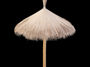 bamboo umbrella Modello 3D